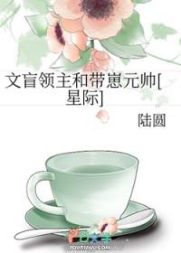 文盲帝师