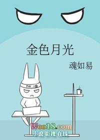 金色月光金凤凰养生园