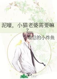 猫咪老婆