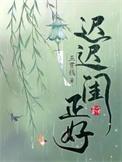 迟迟闺正好TXT