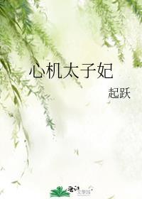 心机太子妃TXT