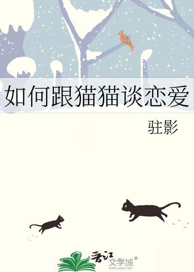 怎么和猫谈恋爱