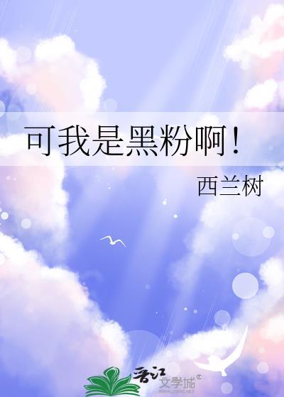 我是黑粉