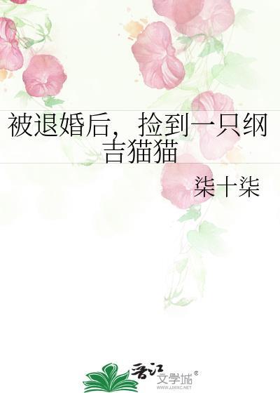 被退婚后捡到一只纲吉猫猫txt