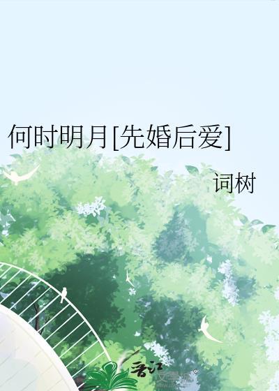 何时明月先婚后爱百度