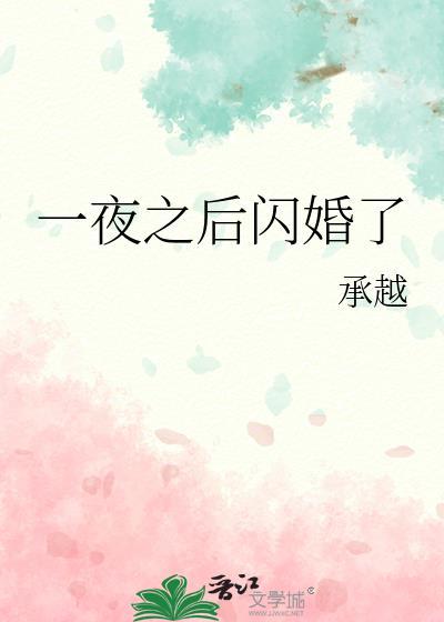 一夜之后闪婚了番外txt