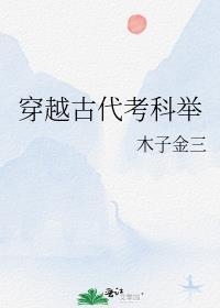 穿越古代考科举木子金三