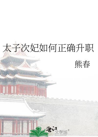 太子妃晋级记简介