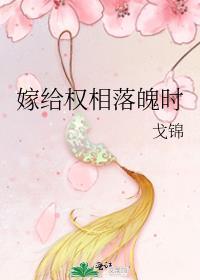 嫁给首辅落魄时 戈锦