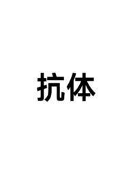 抗体指的是什么意思