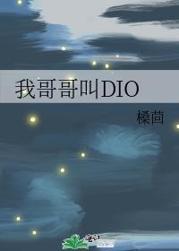 我哥哥叫DIO 槡茴