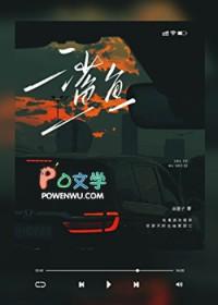鲨鱼皮卡
