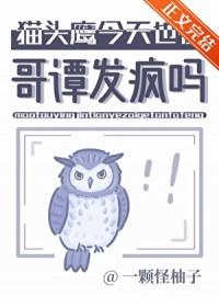 哥谭市猫头鹰法庭的目的