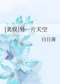 另一片天空下 豆瓣