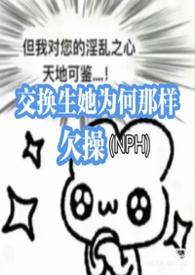 交换生0.52