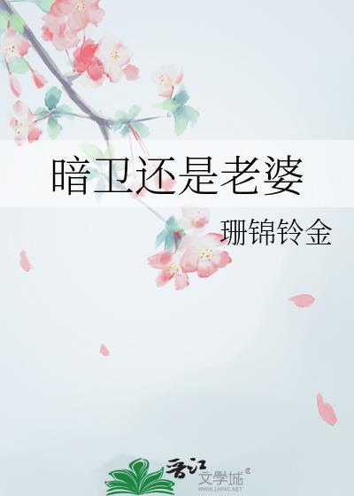 暗卫还是老婆TXT