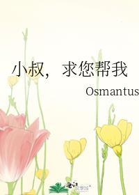 小叔要你