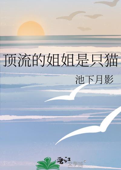 顶流的姐姐是只猫云橘