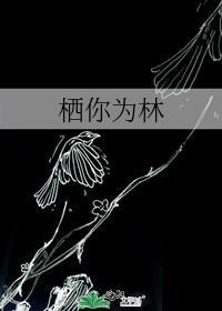 栖你为林免费阅读