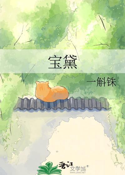 宝黛是谁