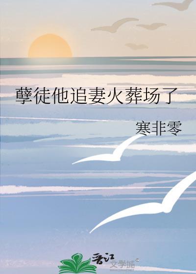 孽徒他追妻火葬场了哪一章开始追妻
