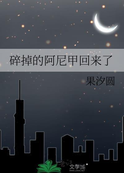 碎掉的阿尼甲回来了还能用吗