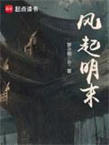 风起宋末