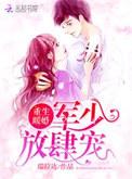 重生暖婚军少放肆宠