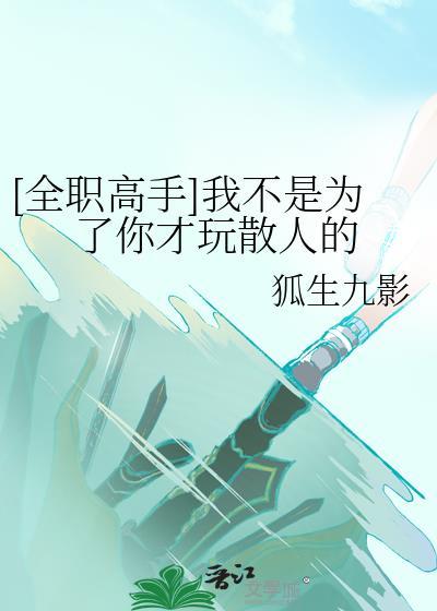 全职高手我不是为了你才玩散人的52