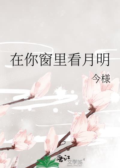 看窗外的明月