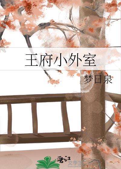 王府小外室梦日泉笔趣阁无弹窗