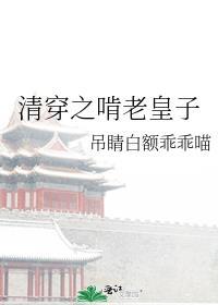穿越之清穿