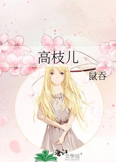 高枝儿晋江