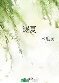 逐夏是双男主吗