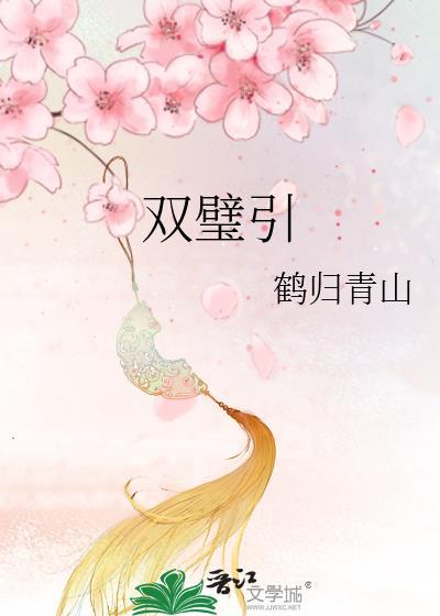 双璧引全集免费阅文