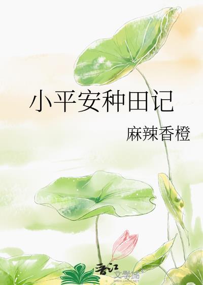 小平安种田记麻辣香橙