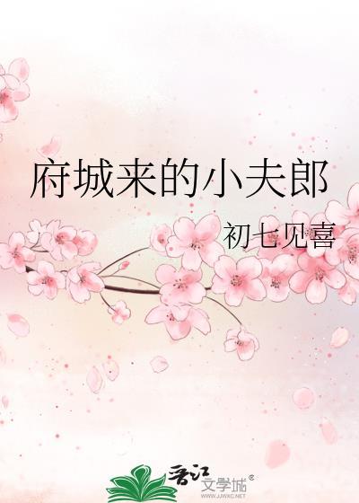 府城来的小夫郎txt百度资源