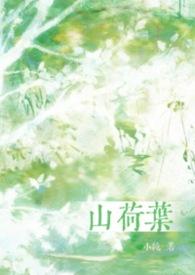 山荷叶花的花语是什么