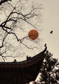 雀儿药粥免费阅读鲥鱼多刺lm