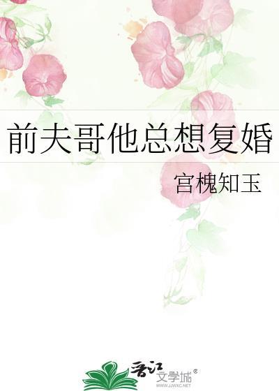 前夫哥他总想复婚22