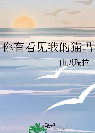 你有看见我的猫吗?