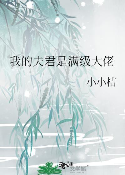 我的夫君大人