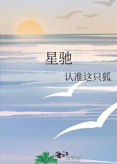 星驰是什么意思