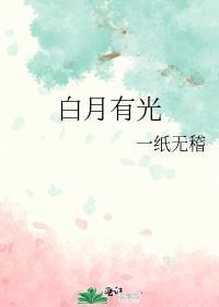 白月有光 讲什么