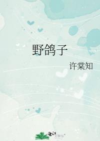 野鸽子飞到家里啥预兆