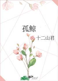 孤鲸与星