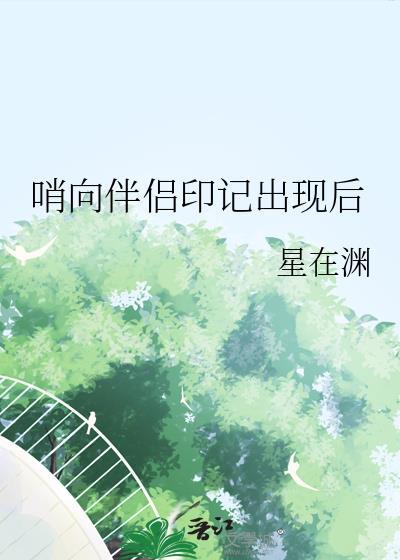 哨兵向导伴侣