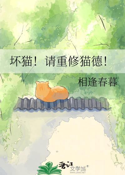 坏猫猫官方网站