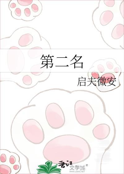 第二名的逆袭一共几集
