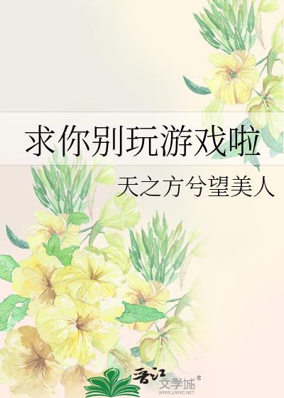 求你别玩游戏啦txt